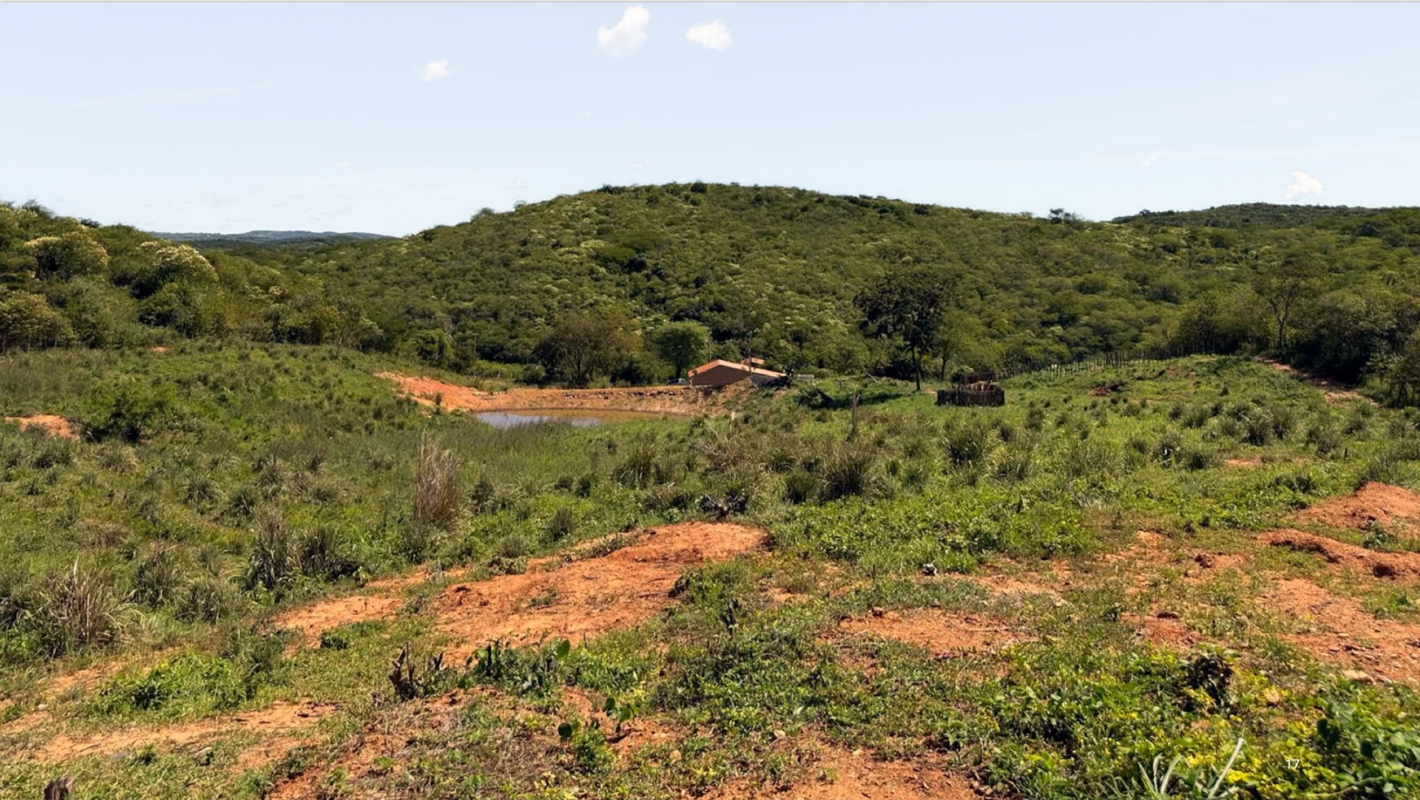 S&atilde;o Francisco Copper-Gold Project